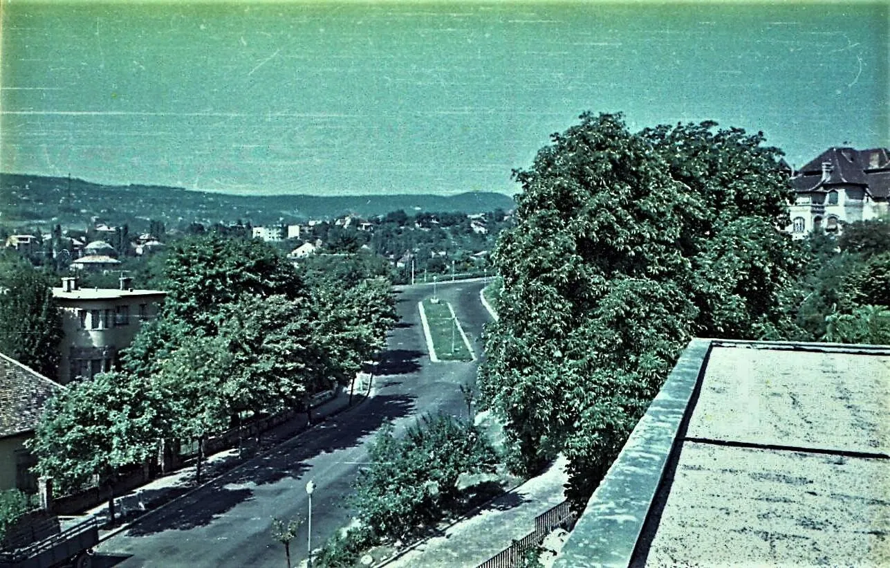 1964, Bimbó út a Füge utca táján, Rózsadomb