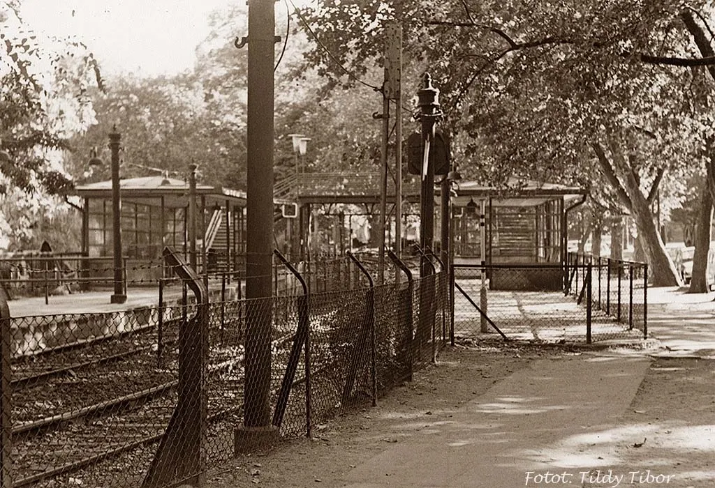 1960-as évek, Állatkerti körút