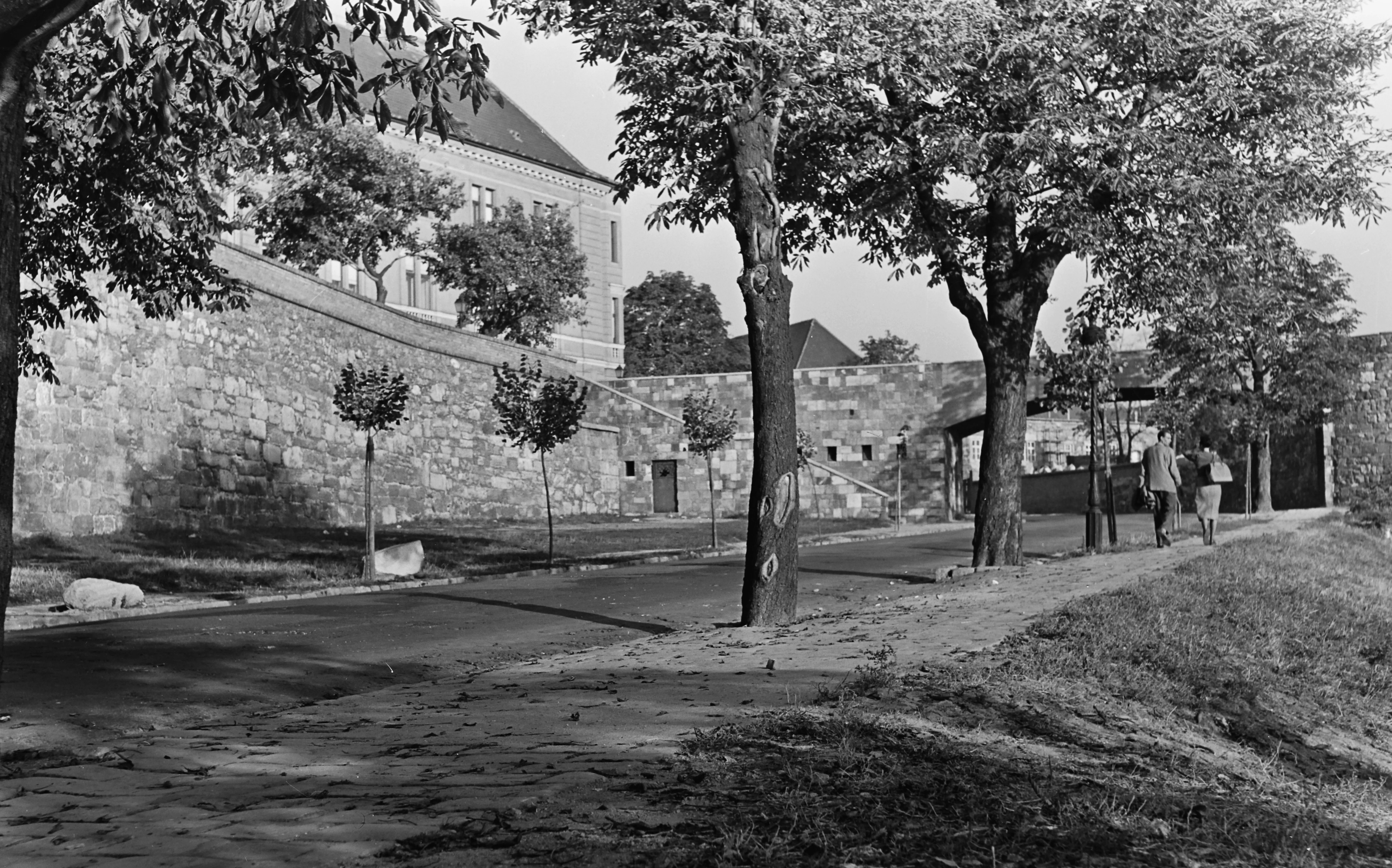 1966, Palota út, Krisztinaváros