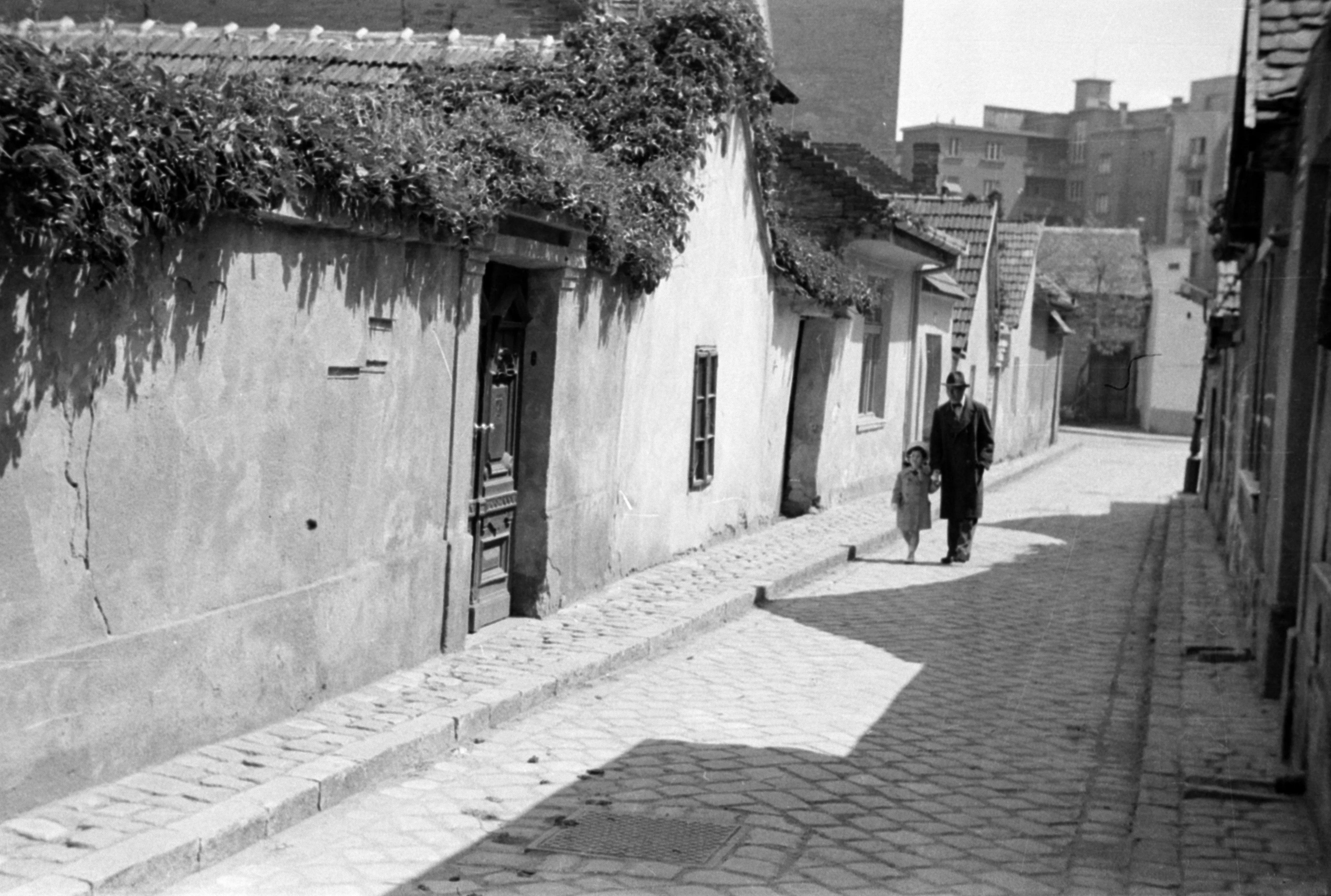 1938, Petrezselyem utca, Országút