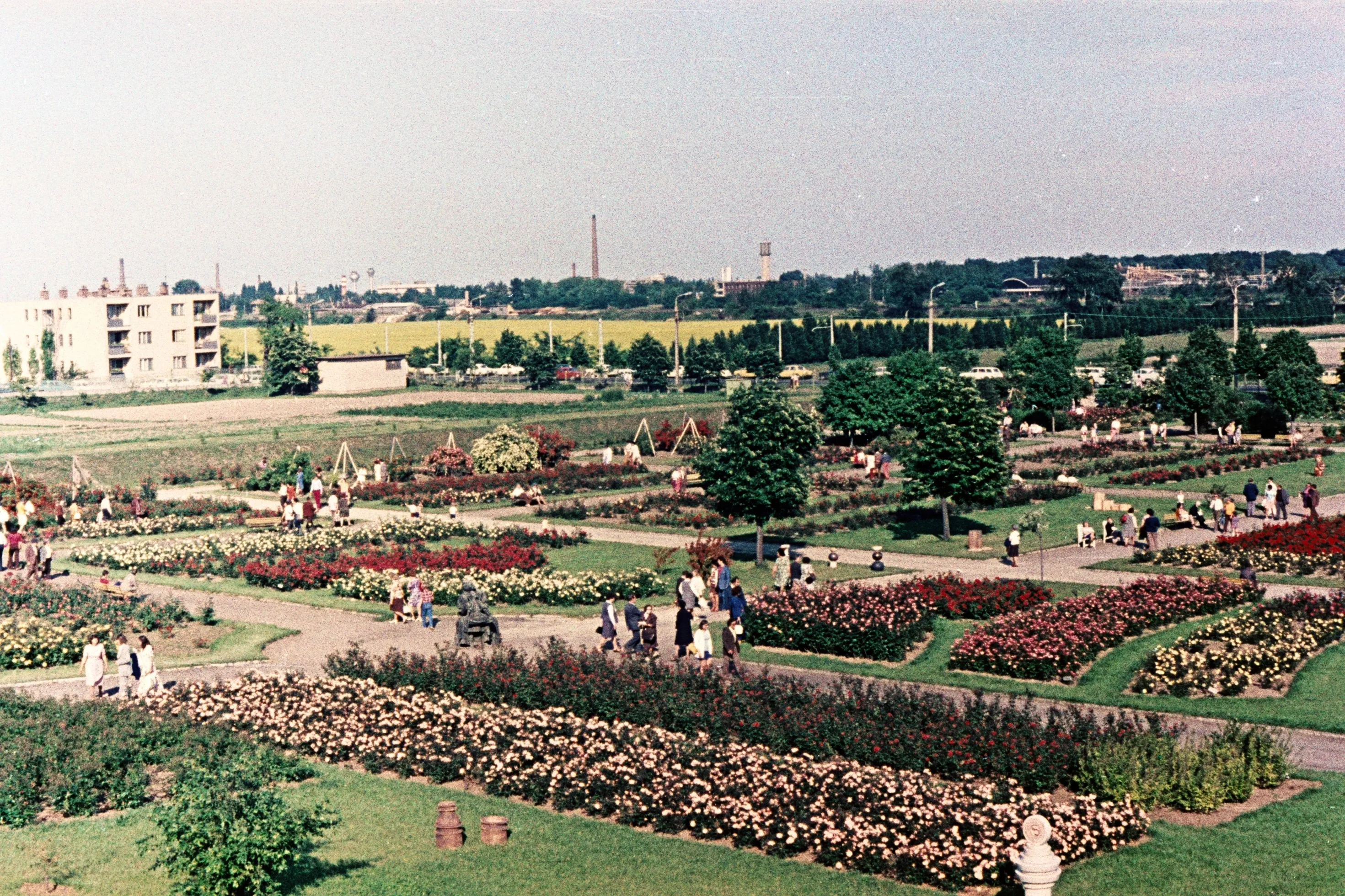 1963, Rózsakert utca, Budatétény 