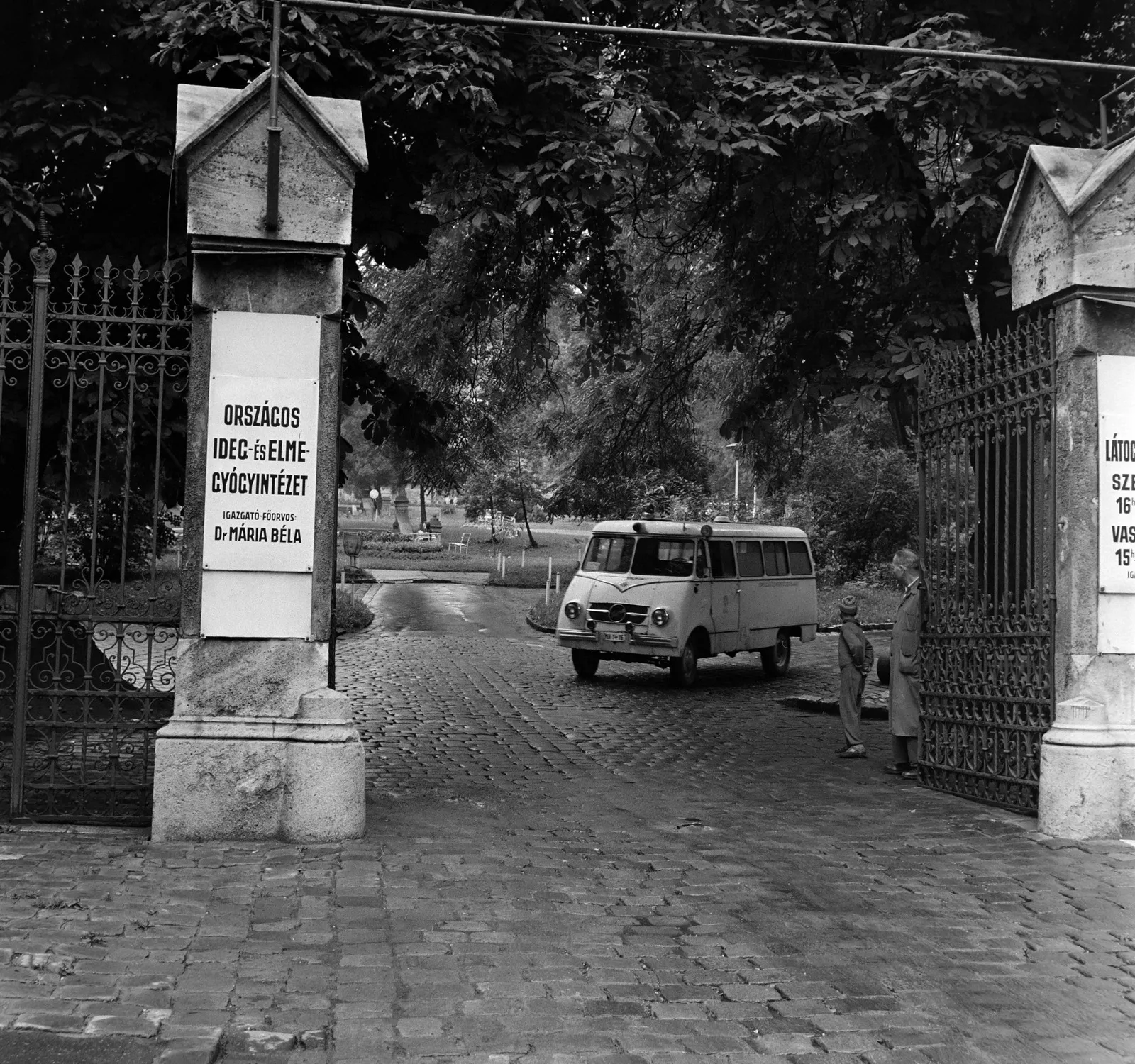 1966, Vörös Hadsereg útja (Hűvösvölgyi út), Lipótmező