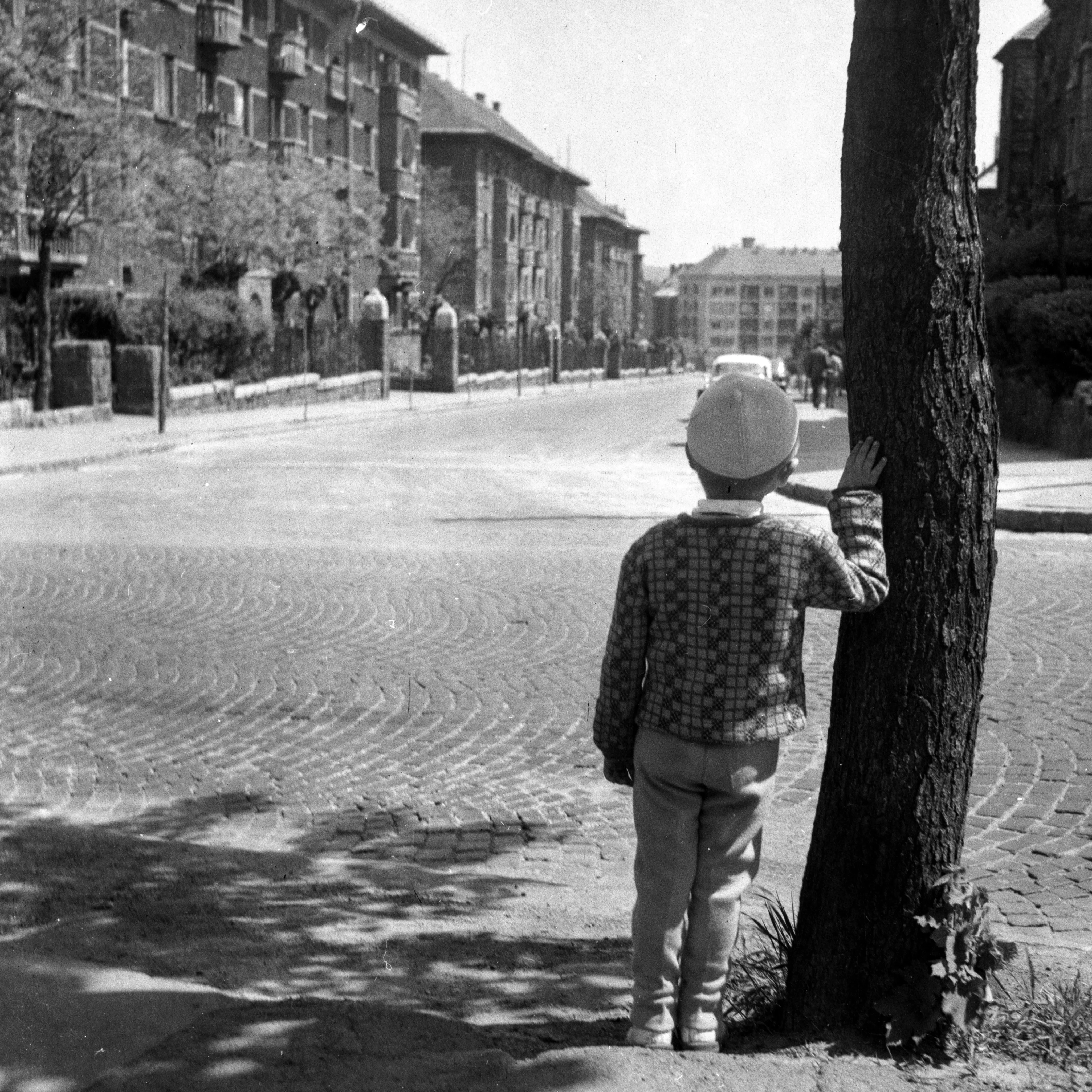 1960, Németvölgyi út, Németvölgy