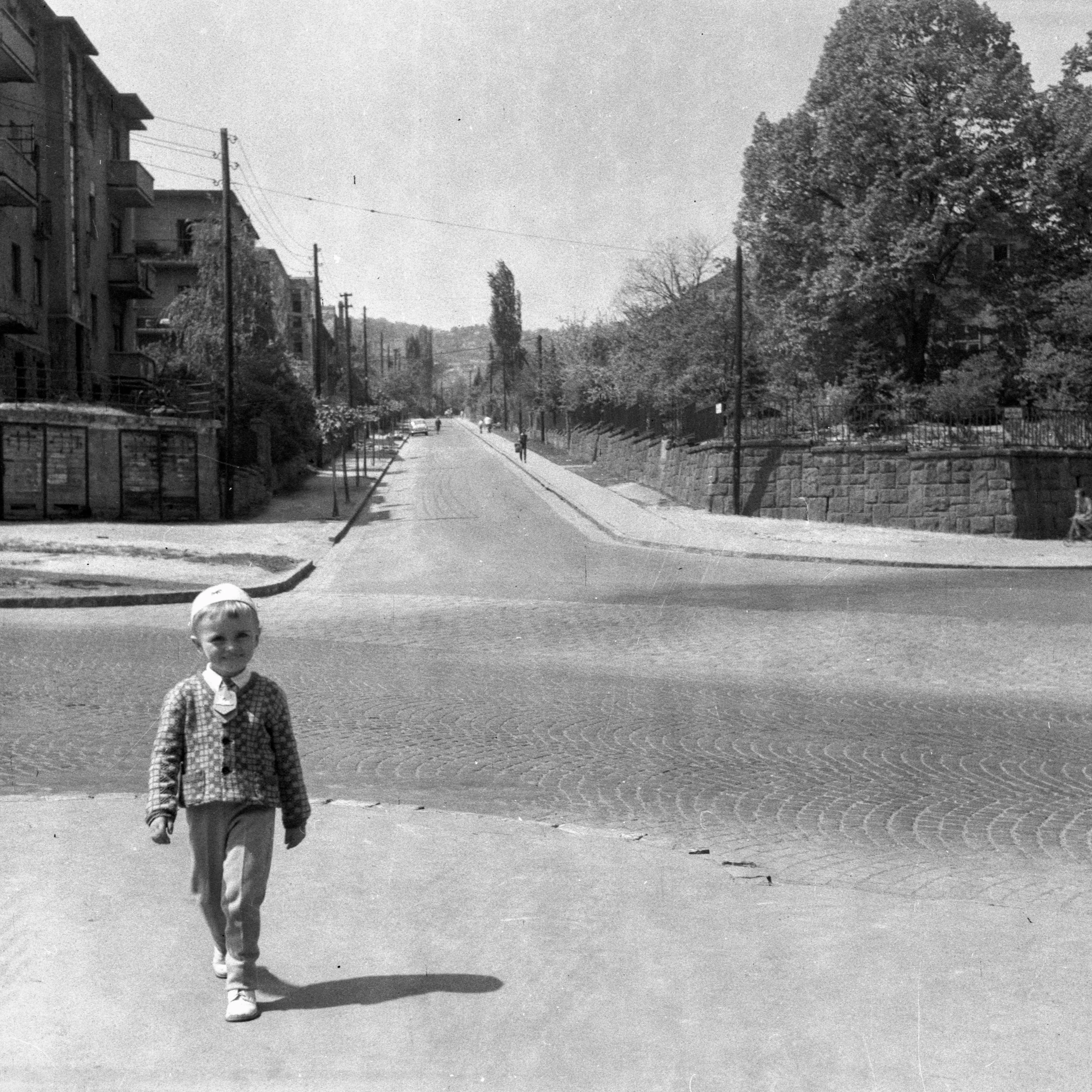 1960, Pagony utca, Orbánhegy