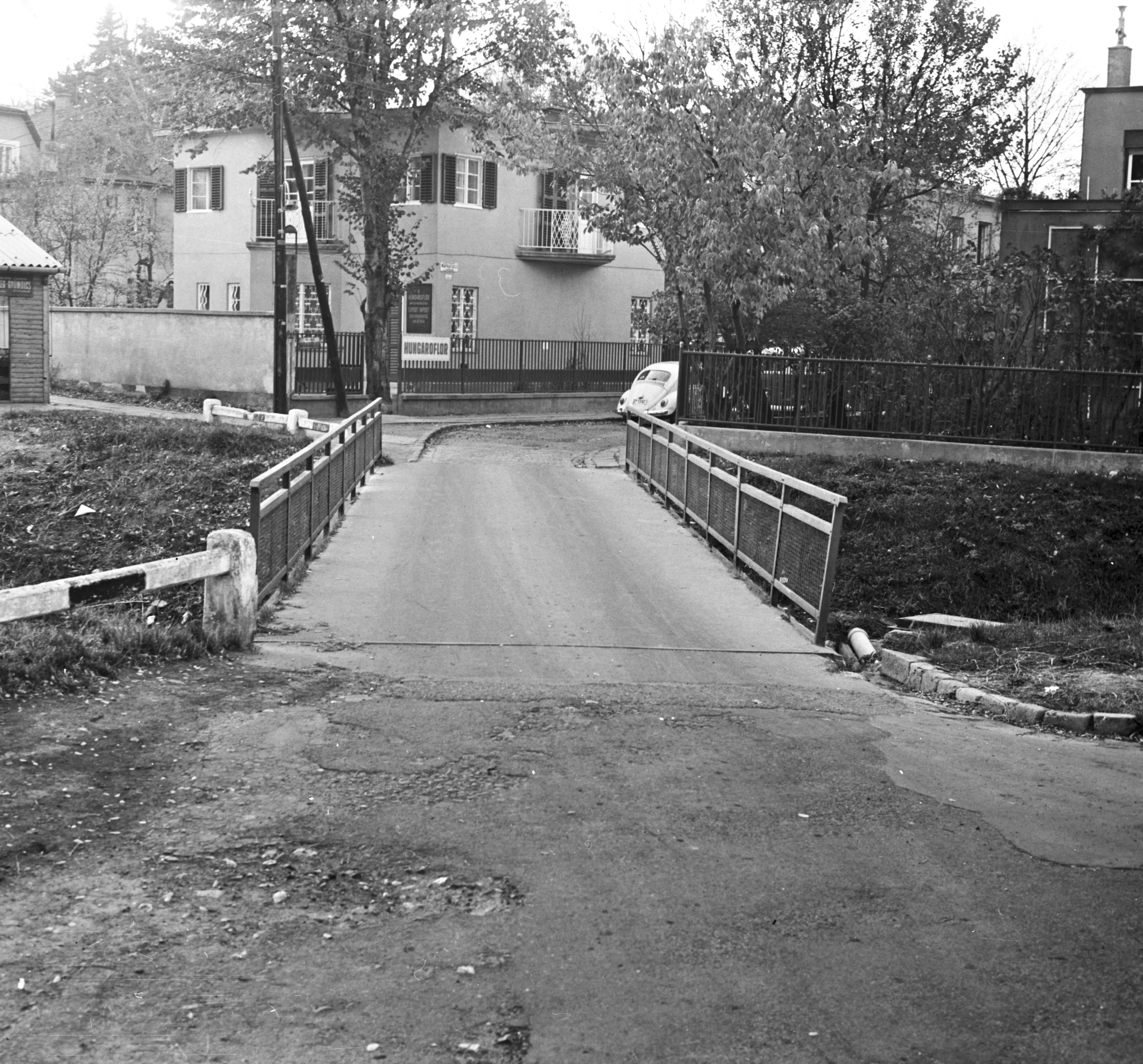 1971, Napraforgó utca, Pasarét