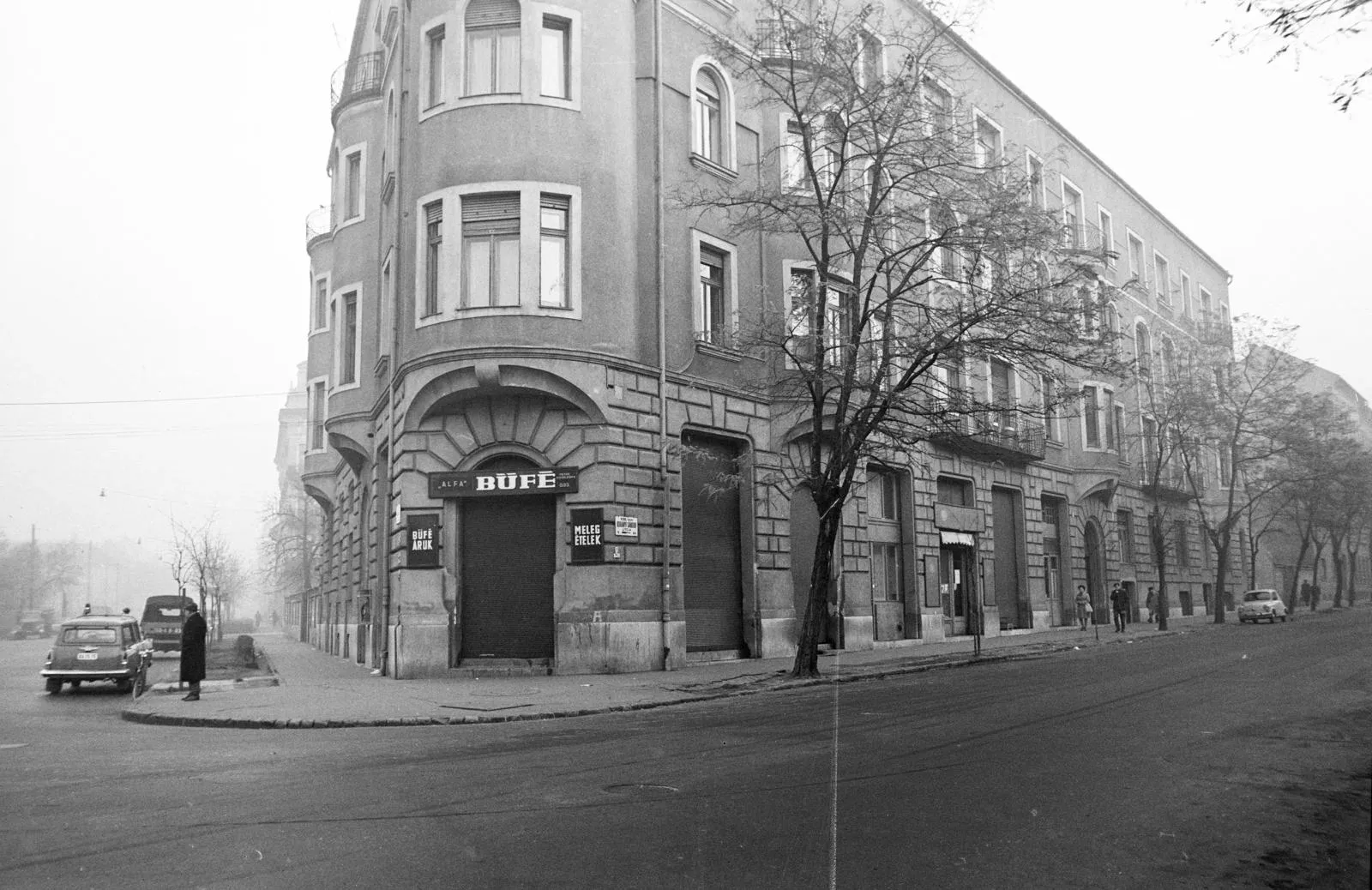 Korányi Sándor utca, Alfa büfé, Józsefváros