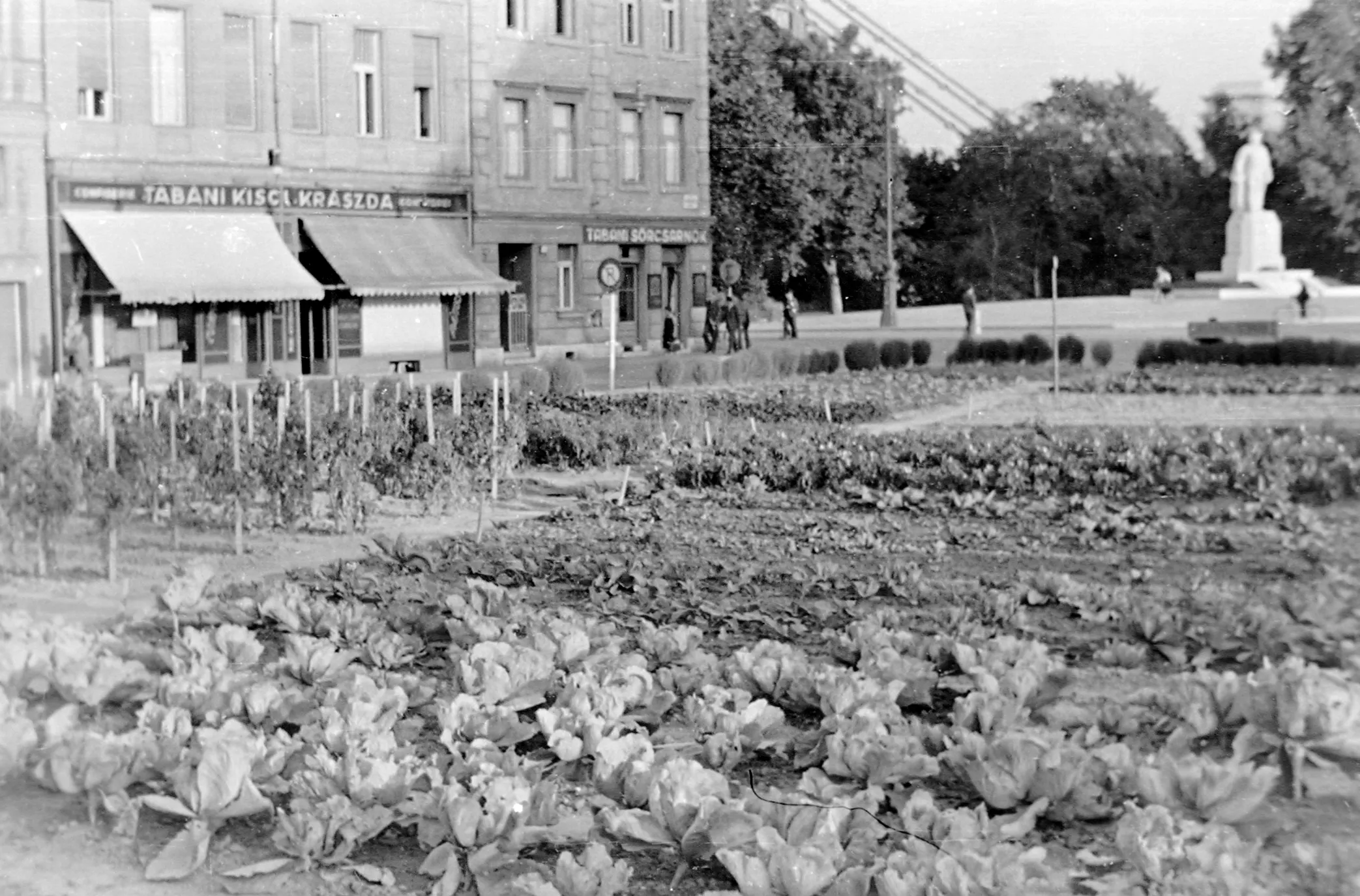 1942, Döbrentei utca, Tabán