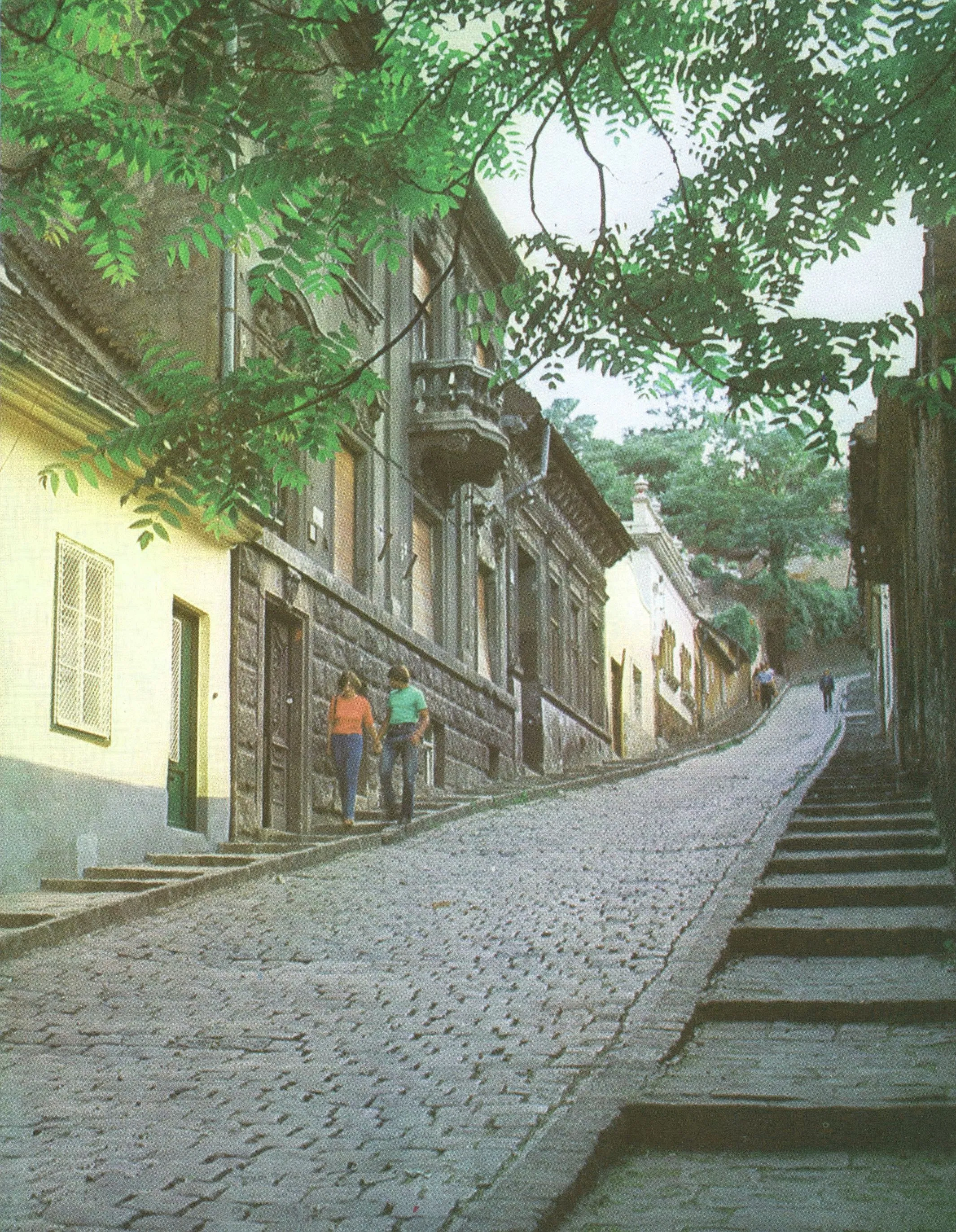 1960-as évek, Gül Baba utca, Felhévíz