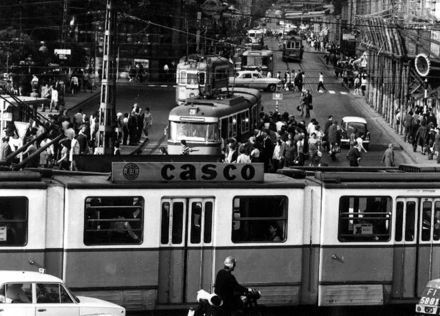 1974, Kőrösi Csoma Sándor út, Kőbánya, Ligettelek